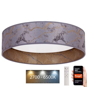Brilagi - LED Aptumšojama griestu lampa VELVET SMART LED/36W/230V d. 55 cm 2700-6500K Wi-Fi Tuya pelēka/zelta + tālvadības pults