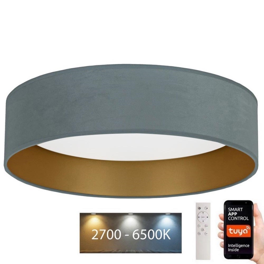 Brilagi - LED Aptumšojama griestu lampa VELVET SMART LED/36W/230V d. 55 cm 2700-6500K Wi-Fi Tuya piparmētru/zelta + tālvadības pults