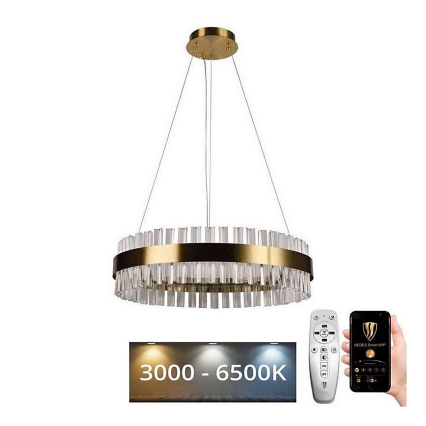 Brilagi - LED Aptumšojama kristāla lustra ar auklu HALO LED/40W/230V + tālvadības pults