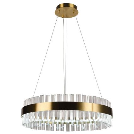 Brilagi - LED Aptumšojama kristāla lustra ar auklu HALO LED/40W/230V + tālvadības pults
