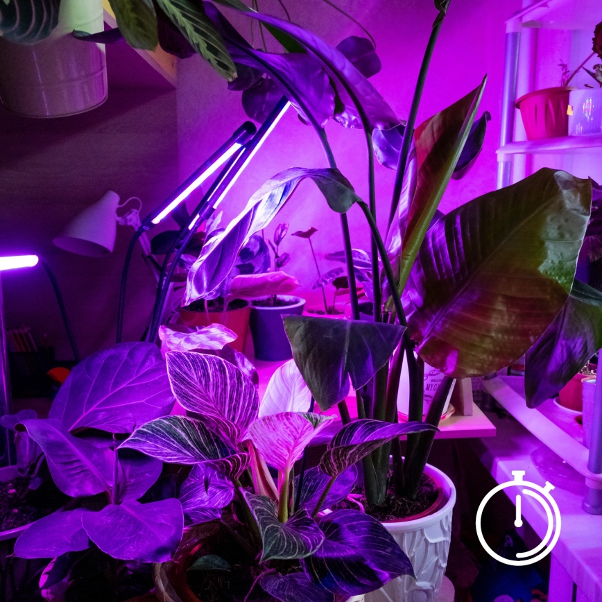 Brilagi - LED Aptumšojama pielāgojama galda lampa ar stiprinājumu augu audzēšanai VITABLOOM 3xLED/10W/230V melna