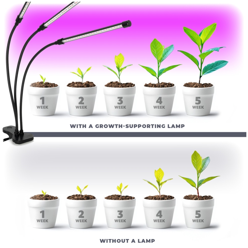 Brilagi - LED Aptumšojama pielāgojama galda lampa ar stiprinājumu augu audzēšanai VITABLOOM 3xLED/10W/230V melna