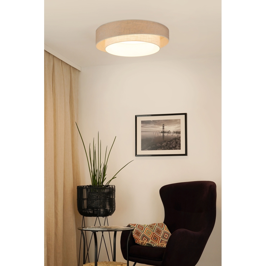 Brilagi - LED Aptumšojama griestu lampa DOVER SHINE LED/24W/230V 3000/4000/6500K pelēka/krēmkrāsa + tālvadības pults