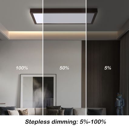 Brilagi - LED Aptumšojama vannas istabas griestu lampa FRAME SMART LED/30W/230V 30x60 cm 3000-6000K  IP44 melna  + tālvadības pults
