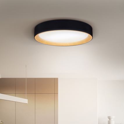Brilagi - LED Aptumšojama griestu lampa LARIOS LED/60W/230V 3000-6500K ø 49 cm melna + tālvadības pults