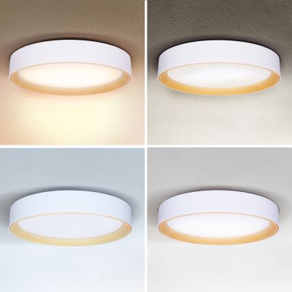 Brilagi - LED Aptumšojama griestu lampa LARIOS LED/60W/230V 3000-6500K ø 49 cm balta + tālvadības pults