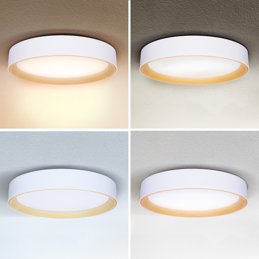 Brilagi - LED Aptumšojama griestu lampa LARIOS LED/60W/230V 3000-6500K ø 49 cm balta + tālvadības pults