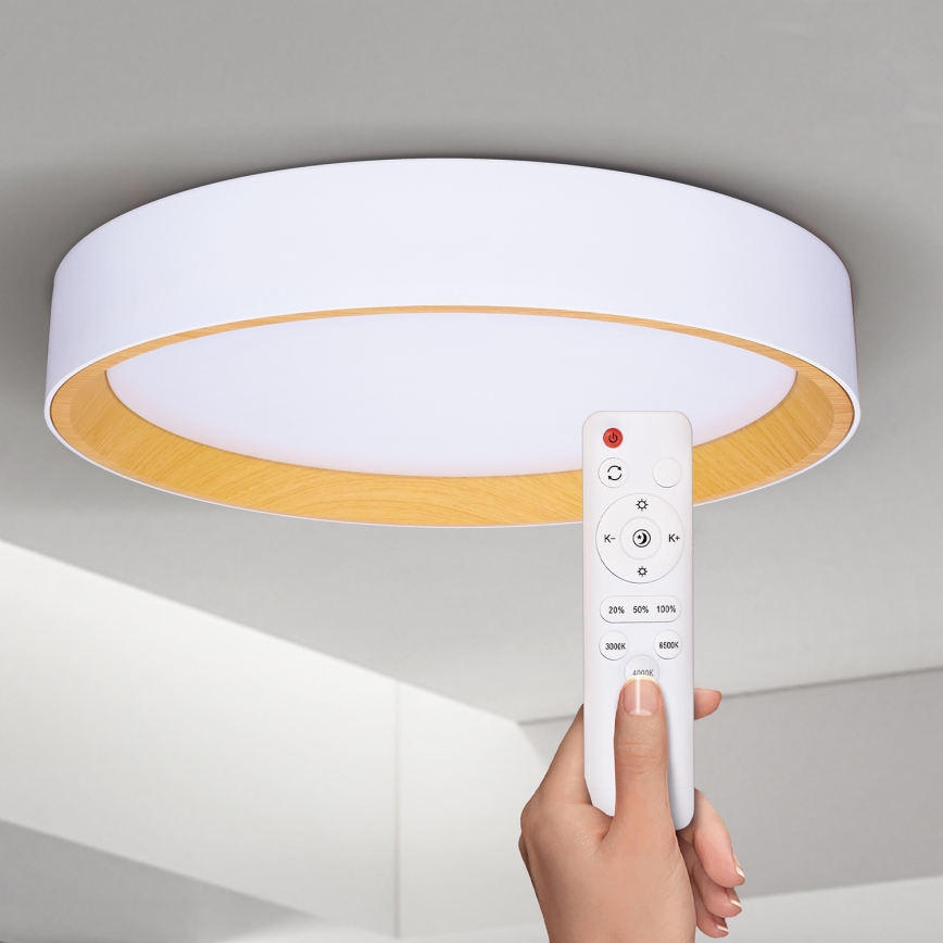 Brilagi - LED Aptumšojama griestu lampa LARIOS LED/60W/230V 3000-6500K ø 49 cm balta + tālvadības pults