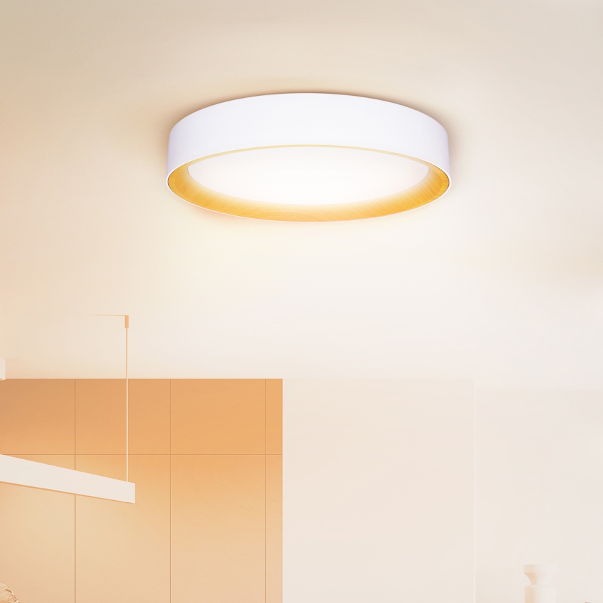 Brilagi - LED Aptumšojama griestu lampa LARIOS LED/60W/230V 3000-6500K ø 49 cm balta + tālvadības pults