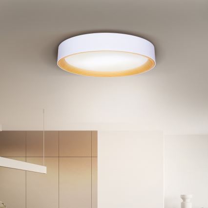 Brilagi - LED Aptumšojama griestu lampa LARIOS LED/60W/230V 3000-6500K ø 49 cm balta + tālvadības pults