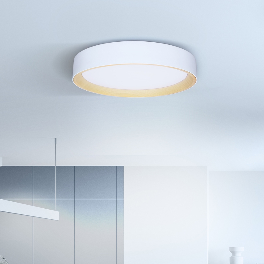 Brilagi - LED Aptumšojama griestu lampa LARIOS LED/60W/230V 3000-6500K ø 49 cm balta + tālvadības pults