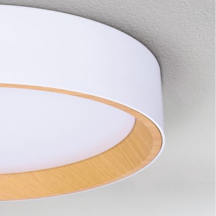 Brilagi - LED Aptumšojama griestu lampa LARIOS LED/60W/230V 3000-6500K ø 49 cm balta + tālvadības pults
