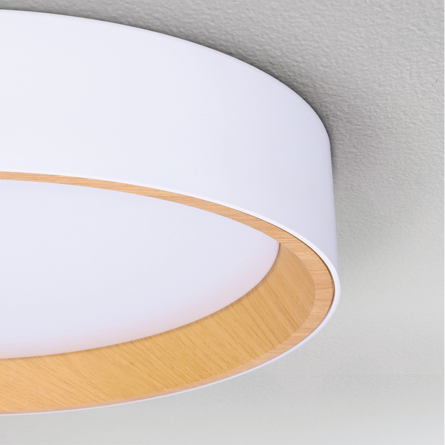 Brilagi - LED Aptumšojama griestu lampa LARIOS LED/60W/230V 3000-6500K ø 49 cm balta + tālvadības pults
