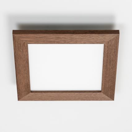 Brilagi - LED Aptumšojama griestu lampa SLIMFRAME WOOD LED/25W/230V 34x34 cm 3000-6000K tumši brūna + tālvadības pults