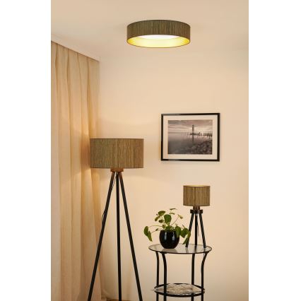 Brilagi - LED Aptumšojama griestu lampa VEGAS SHINE LED/24W/230V 3000/4000/6500K salmi brūna/zelta + tālvadības pults