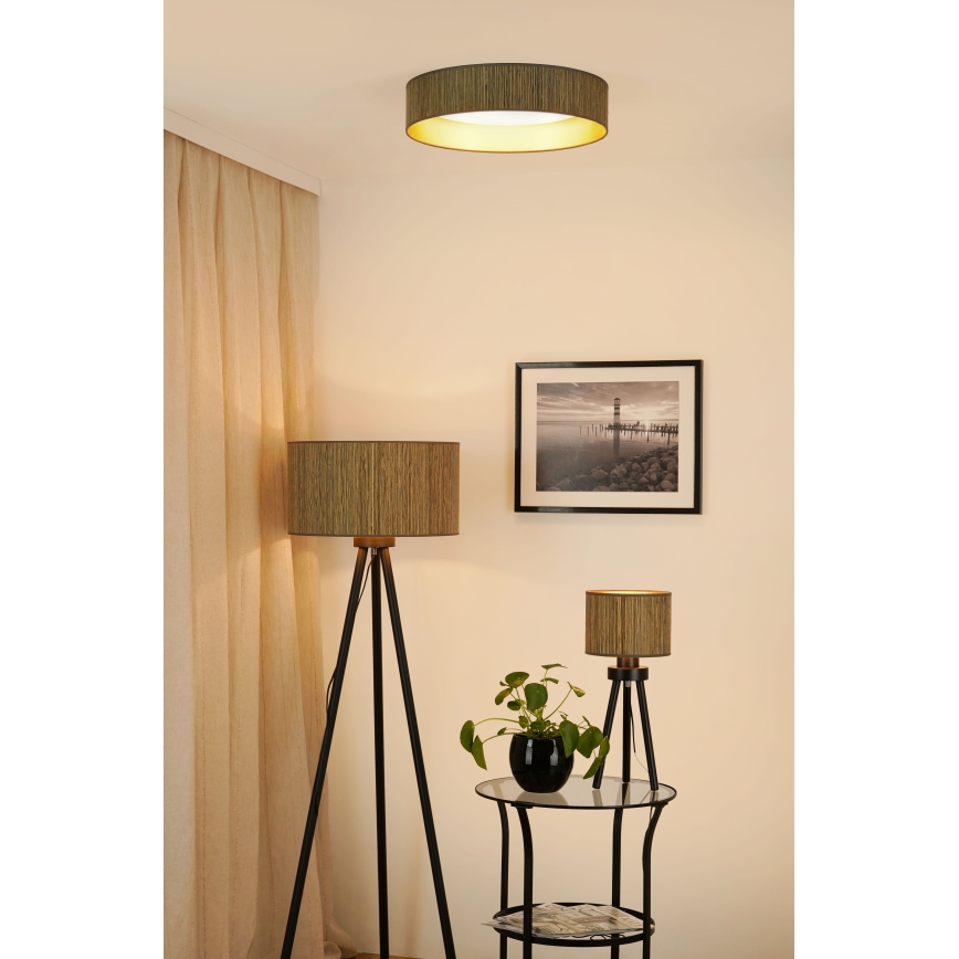 Brilagi - LED Aptumšojama griestu lampa VEGAS SHINE LED/24W/230V 3000/4000/6500K salmi brūna/zelta + tālvadības pults
