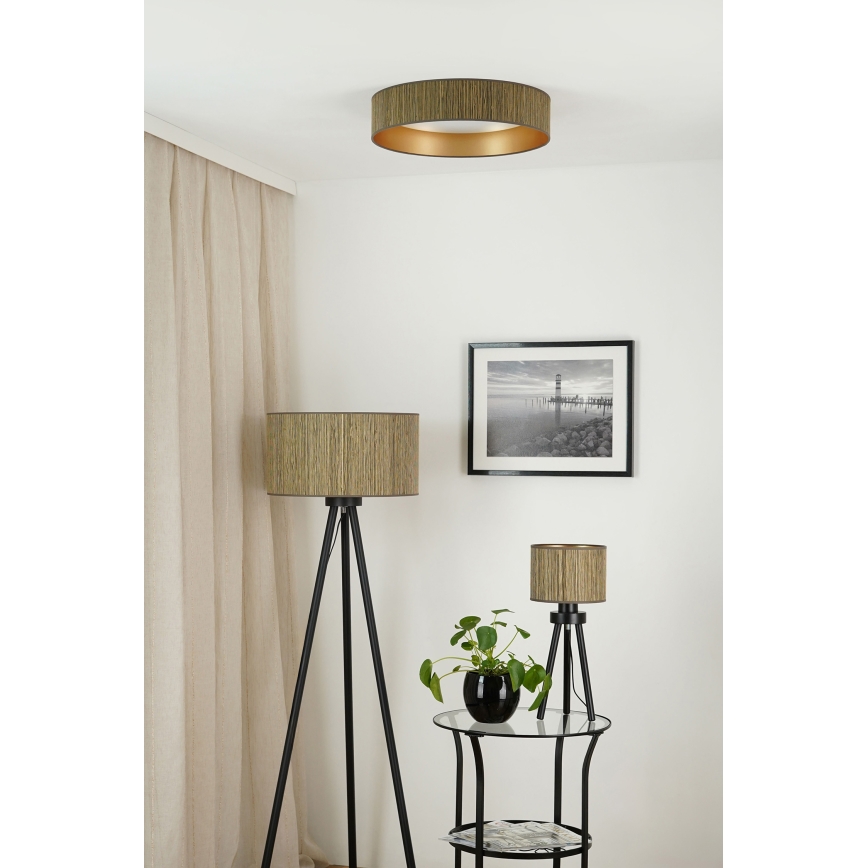 Brilagi - LED Aptumšojama griestu lampa VEGAS SHINE LED/24W/230V 3000/4000/6500K salmi brūna/zelta + tālvadības pults