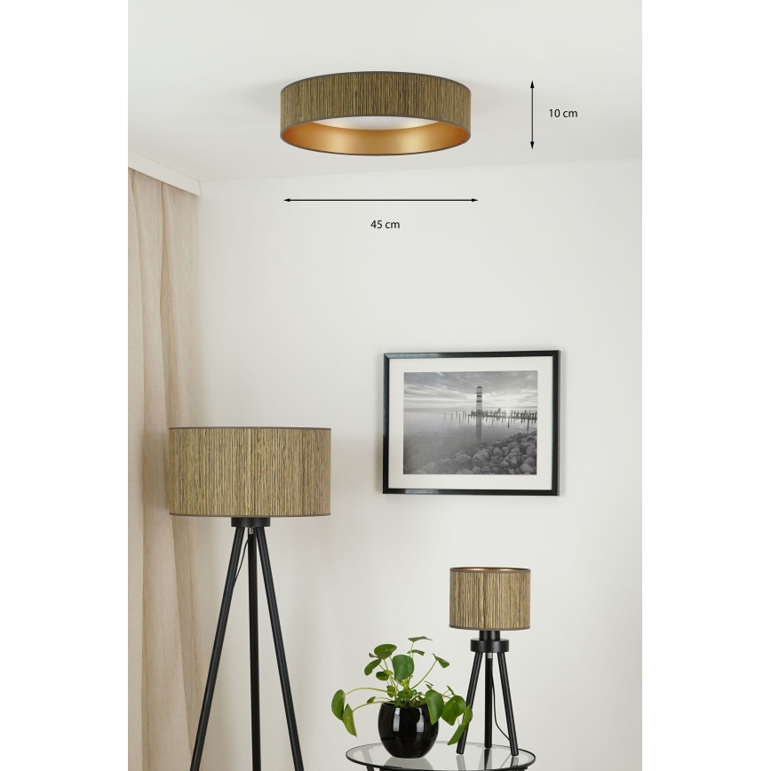 Brilagi - LED Aptumšojama griestu lampa VEGAS SHINE LED/24W/230V 3000/4000/6500K salmi brūna/zelta + tālvadības pults
