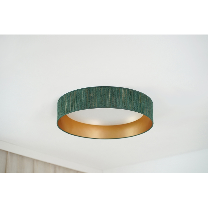 Brilagi - LED Aptumšojama griestu lampa VEGAS SHINE LED/24W/230V 3000/4000/6500K salmi zaļa/zelta + tālvadības pults
