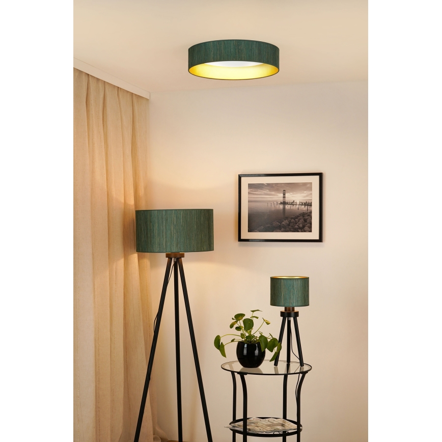 Brilagi - LED Aptumšojama griestu lampa VEGAS SHINE LED/24W/230V 3000/4000/6500K salmi zaļa/zelta + tālvadības pults