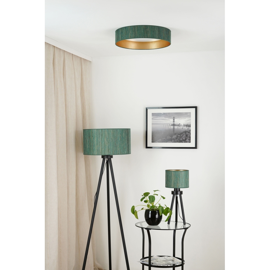 Brilagi - LED Aptumšojama griestu lampa VEGAS SHINE LED/24W/230V 3000/4000/6500K salmi zaļa/zelta + tālvadības pults