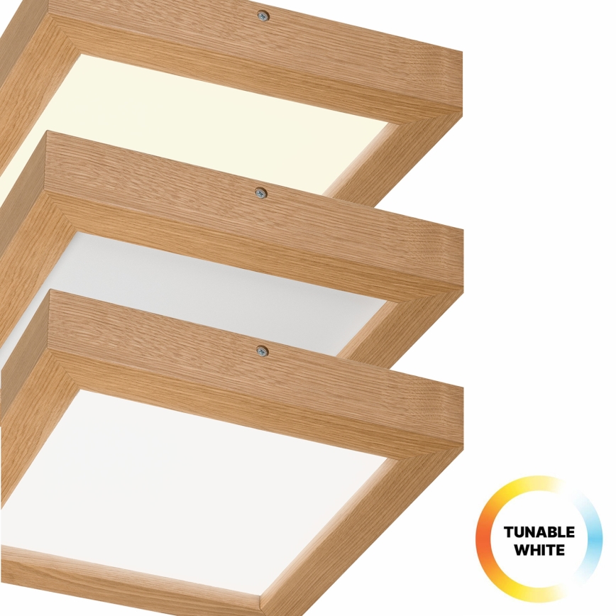 Brilagi - LED Aptumšojama vannas istabas griestu lampa WOODY FRAME LED/24W/230V ozols 30x30 cm 3000-6000K IP44 + tālvadības pults