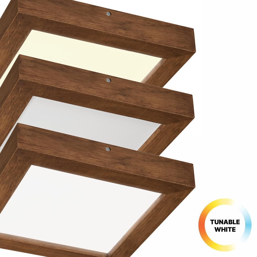 Brilagi - LED Aptumšojama vannas istabas griestu lampa WOODY FRAME LED/24W/230V ozols ķirsis 30x30 cm 3000-6000K IP44 + tālvadības pults