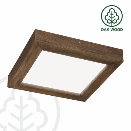Brilagi - LED Aptumšojama vannas istabas griestu lampa WOODY FRAME LED/24W/230V ozols 30x30 cm 3000-6000K IP44 + tālvadības pults