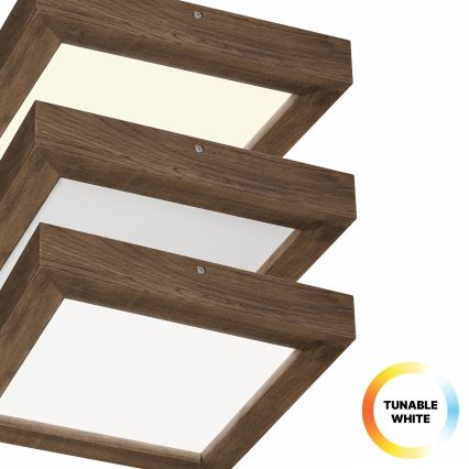 Brilagi - LED Aptumšojama vannas istabas griestu lampa WOODY FRAME LED/24W/230V ozols 30x30 cm 3000-6000K IP44 + tālvadības pults