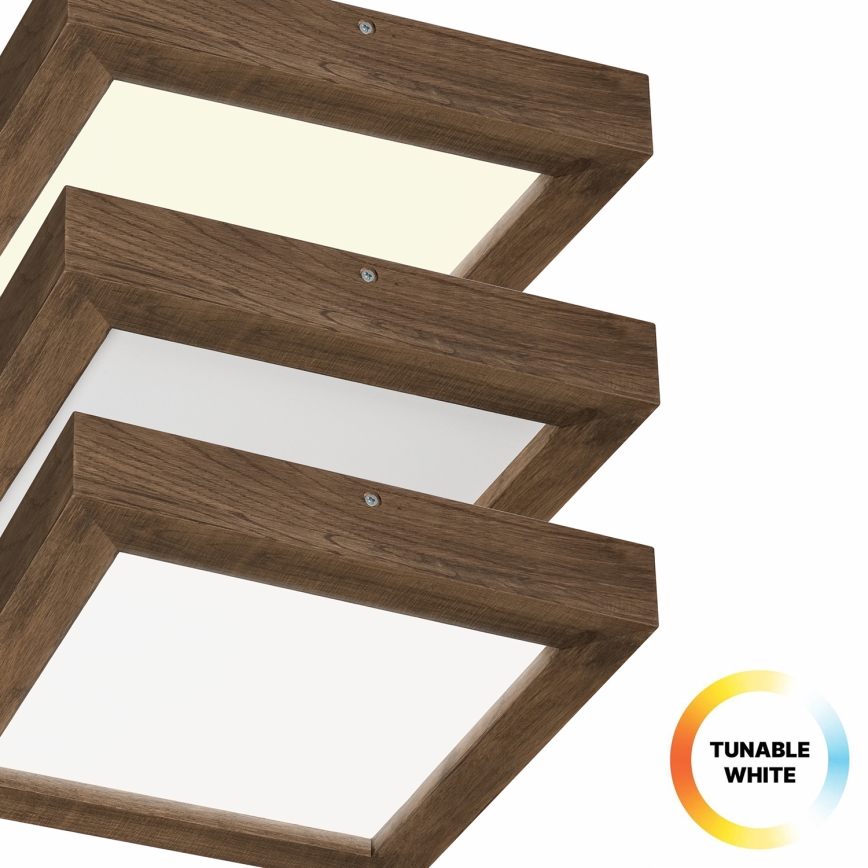 Brilagi - LED Aptumšojama vannas istabas griestu lampa WOODY FRAME LED/24W/230V ozols 30x30 cm 3000-6000K IP44 + tālvadības pults