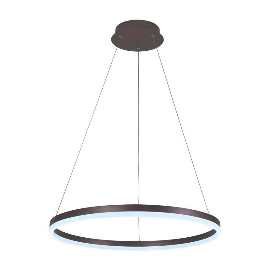 Brilagi - LED Aptumšojama lustra ar auklu CIRCLE LED/42W/230V 3000-6500K brūna + tālvadības pults