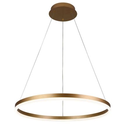 Brilagi - LED Aptumšojama lustra ar auklu CIRCLE LED/42W/230V 3000-6500K + tālvadības pults