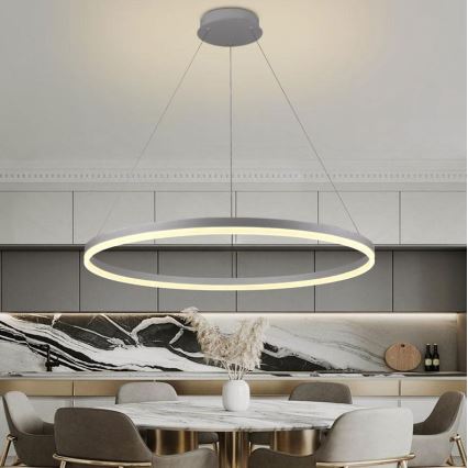 Brilagi - LED Aptumšojama lustra ar auklu CIRCLE LED/55W/230V 3000-6500K sudraba + tālvadības pults