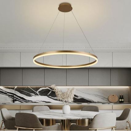 Brilagi - LED Aptumšojama lustra ar auklu CIRCLE LED/55W/230V 3000-6500K zelta + tālvadības pults