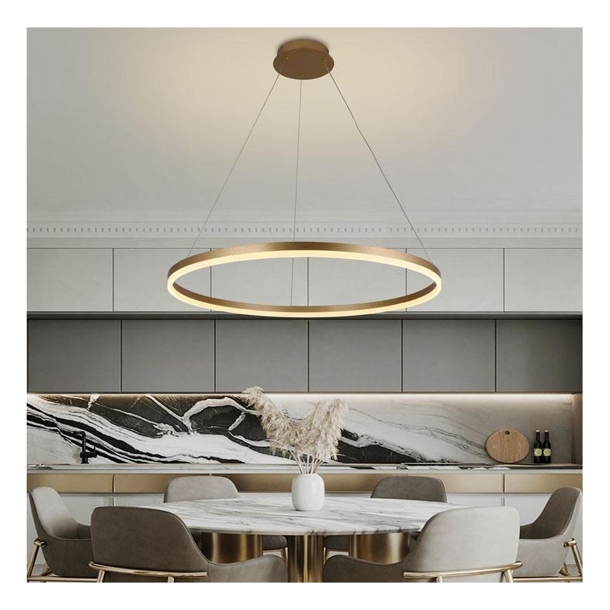 Brilagi - LED Aptumšojama lustra ar auklu CIRCLE LED/55W/230V 3000-6500K zelta + tālvadības pults