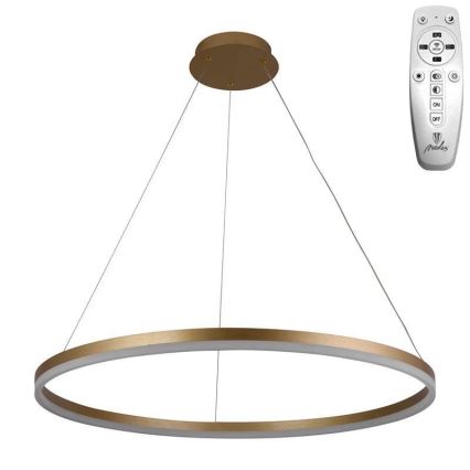 Brilagi - LED Aptumšojama lustra ar auklu CIRCLE LED/55W/230V 3000-6500K zelta + tālvadības pults