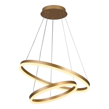 Brilagi - LED Aptumšojama lustra ar auklu CIRCLE LED/70W/230V 3000-6500K zelta + tālvadības pults