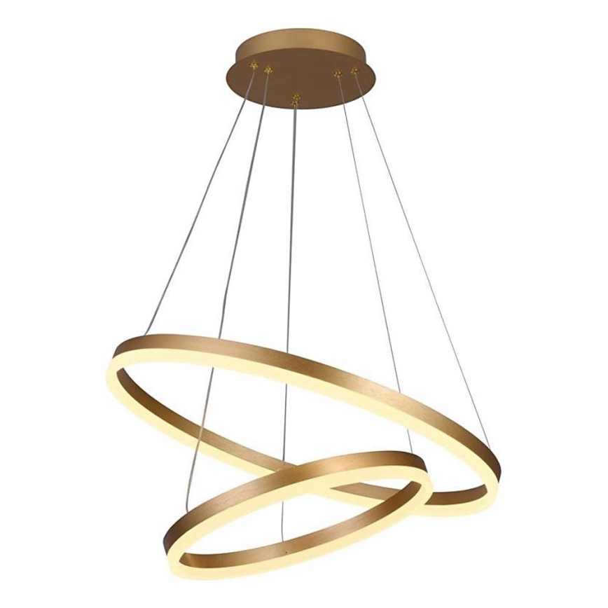 Brilagi - LED Aptumšojama lustra ar auklu CIRCLE LED/70W/230V 3000-6500K zelta + tālvadības pults