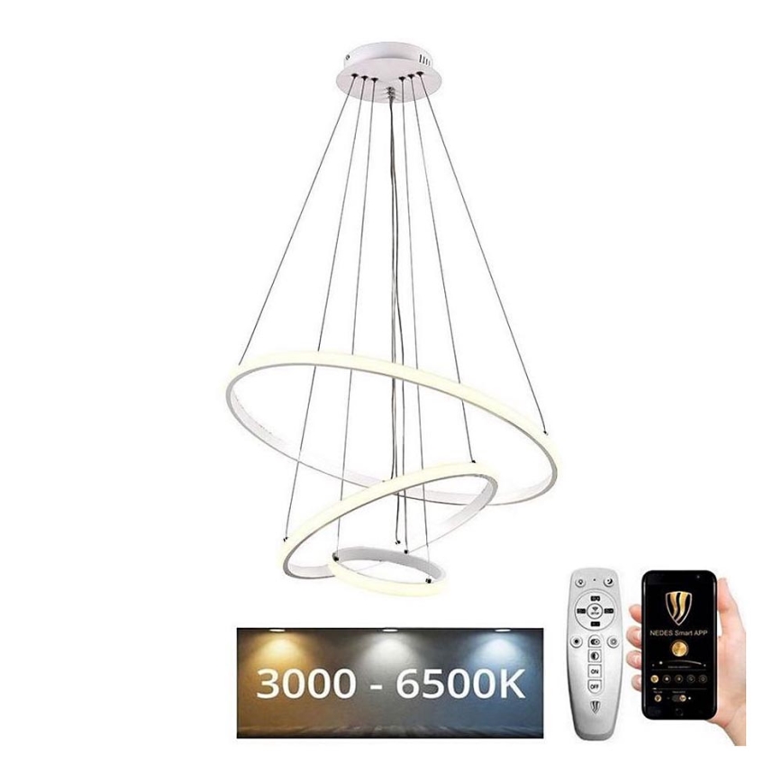 Brilagi - LED Aptumšojama lustra ar auklu CIRCLE LED/90W/230V 3000-6500K + tālvadības pults