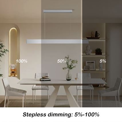 Brilagi - LED Aptumšojama lustra ar auklu SLIMLINE LED/40W/230V 3000-6000K sudraba + tālvadības pults