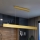 Brilagi - LED Aptumšojama lustra ar auklu SLIMLINE LED/40W/230V 3000-6000K zelta + tālvadības pults