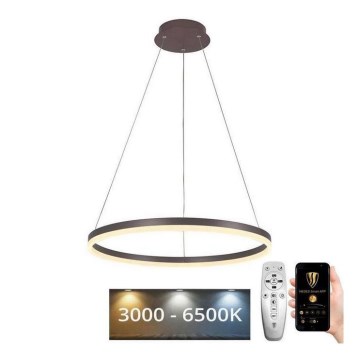 BRILAGI - LED aptumšojama lustra uz troses CIRCLE LED/42W/230V 3000-6500K pr. 60 cm brūna + tālvadības pults