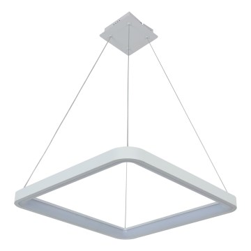 Brilagi - LED aptumšojama lustra uz troses FALCON SLIM LED/50W/230V 3000-6500K 50x50 cm balta + tālvadības pults
