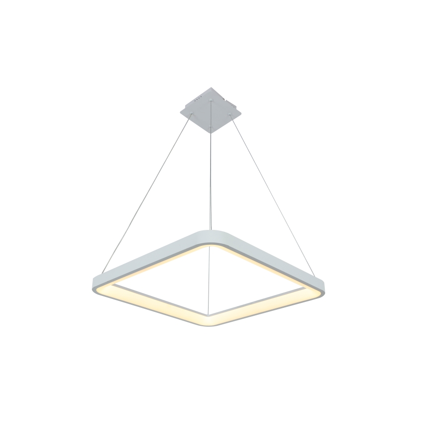 Brilagi - LED aptumšojama lustra uz troses FALCON SLIM LED/50W/230V 3000-6500K 50x50 cm balta + tālvadības pults