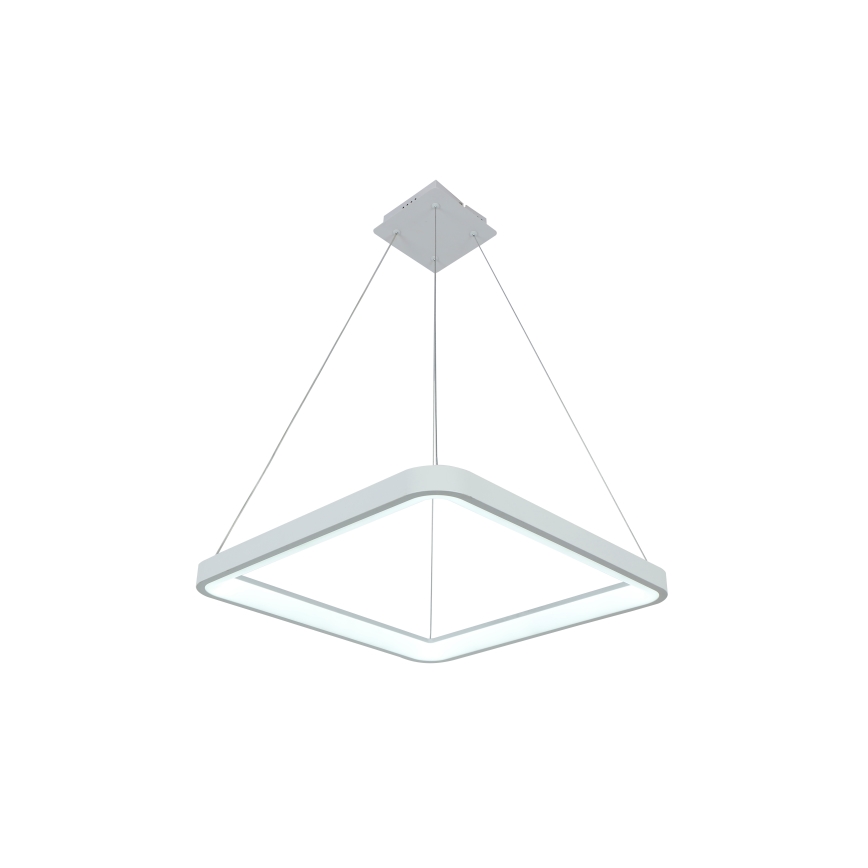 Brilagi - LED aptumšojama lustra uz troses FALCON SLIM LED/50W/230V 3000-6500K 50x50 cm balta + tālvadības pults