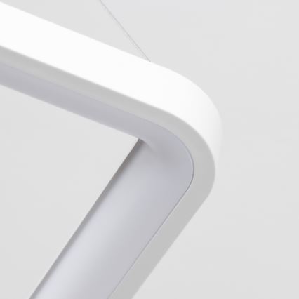 Brilagi - LED aptumšojama lustra uz troses FALCON SLIM LED/50W/230V 3000-6500K 50x50 cm balta + tālvadības pults