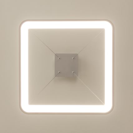 Brilagi - LED aptumšojama lustra uz troses FALCON SLIM LED/50W/230V 3000-6500K 50x50 cm balta + tālvadības pults