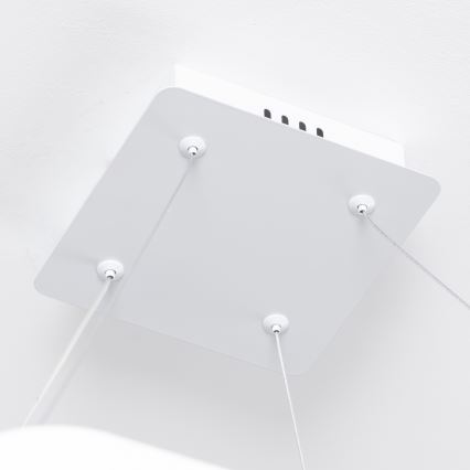 Brilagi - LED aptumšojama lustra uz troses FALCON SLIM LED/50W/230V 3000-6500K 50x50 cm balta + tālvadības pults