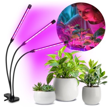Brilagi - LED Aptumšojama pielāgojama galda lampa ar stiprinājumu augu audzēšanai VITABLOOM 3xLED/10W/230V melna