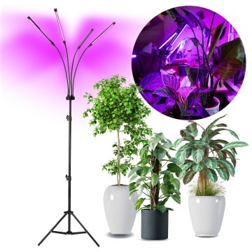 Brilagi - LED Aptumšojama pielāgojama grīdas stāvlampa augu audzēšanai VITABLOOM 4xLED/7,5W/230V melna